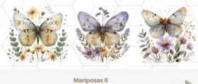 Mariposa 6