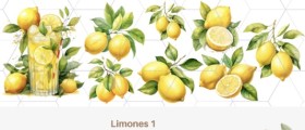 Limones 1