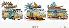 Vans 1