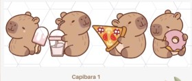 Capibara 1