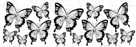 Mariposa 8