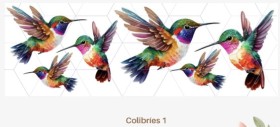 Colibrí 