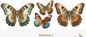 Mariposa 3