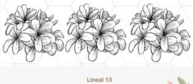 Flores lineal 13
