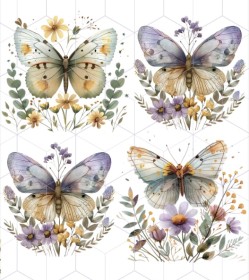 Mariposas 6