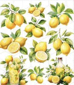 Limon 1