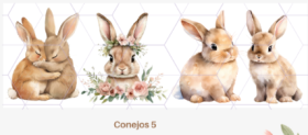 Lamina UV Conejos 5