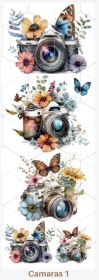 Camaras 1