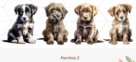 Perritos 2